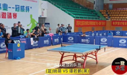 乒乓球比赛视频直播,精彩瞬间回顾